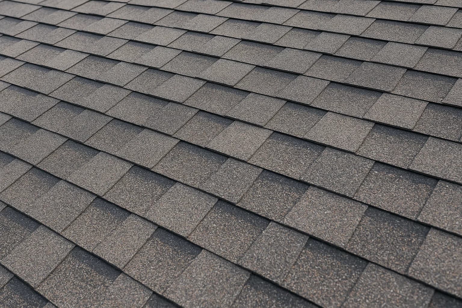 IVAM Construction - Professional Construction Services